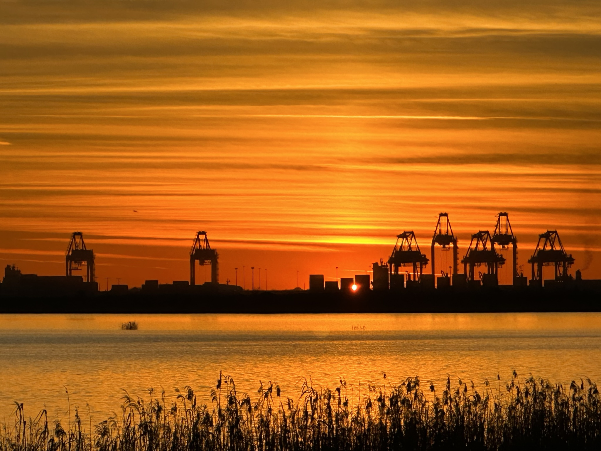Sunset over Gulf Coast shipping cranes, seen across water from the reeds on the EM50/EM60 grid line, with the sun setting directly on the boundary between the two grids